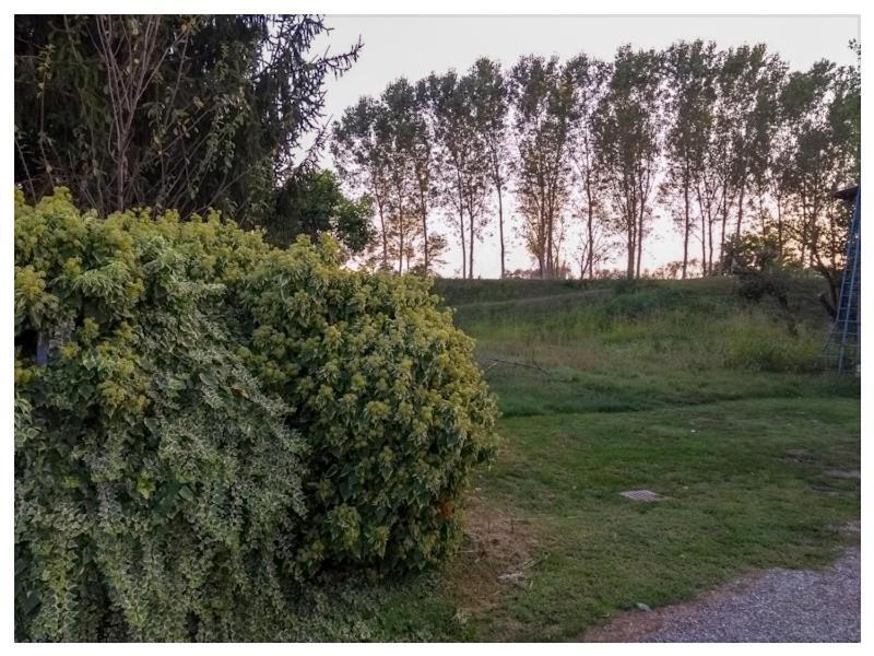 Elizabeth B&B Lentigione Eksteriør bilde